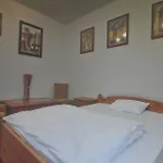 Apartament Borostyan 20 Vendeghaz Sárospatak