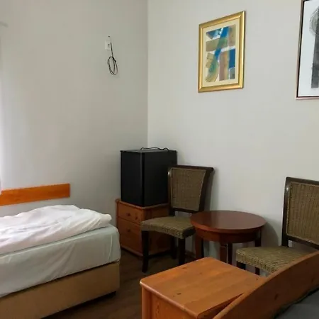 Borostyan 20 Vendeghaz * Sarospatak