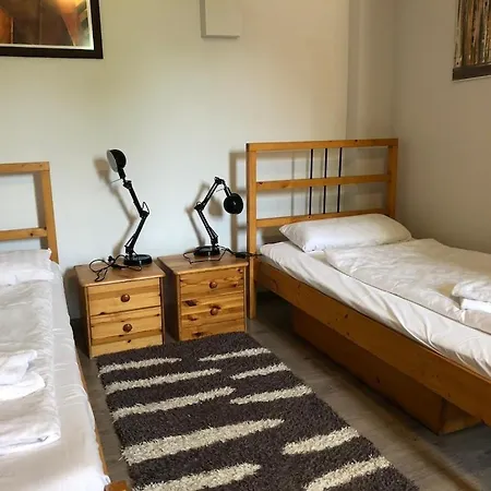 Borostyan 20 Vendeghaz Sárospatak