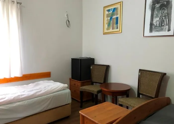 Borostyan 20 Vendeghaz * Sárospatak