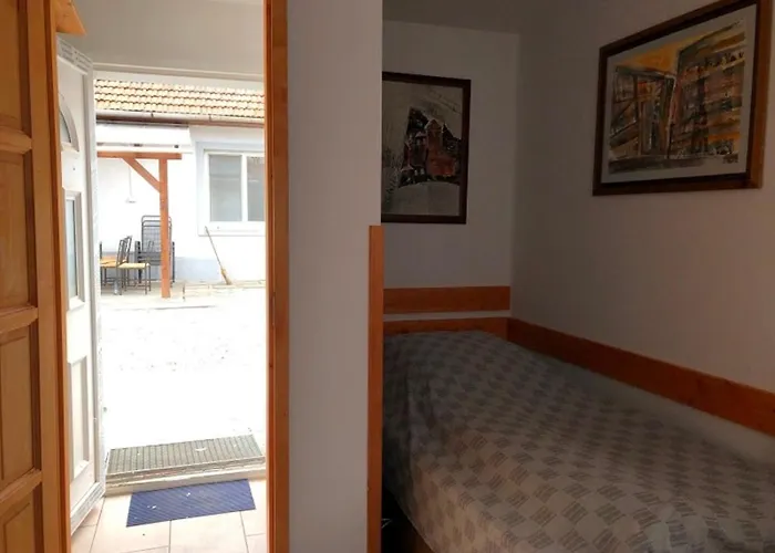 Borostyan 20 Vendeghaz