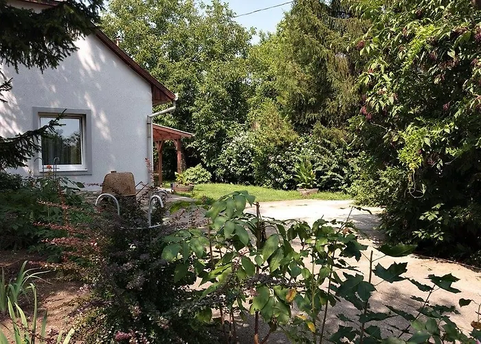 Borostyan 20 Vendeghaz Apartment Sárospatak