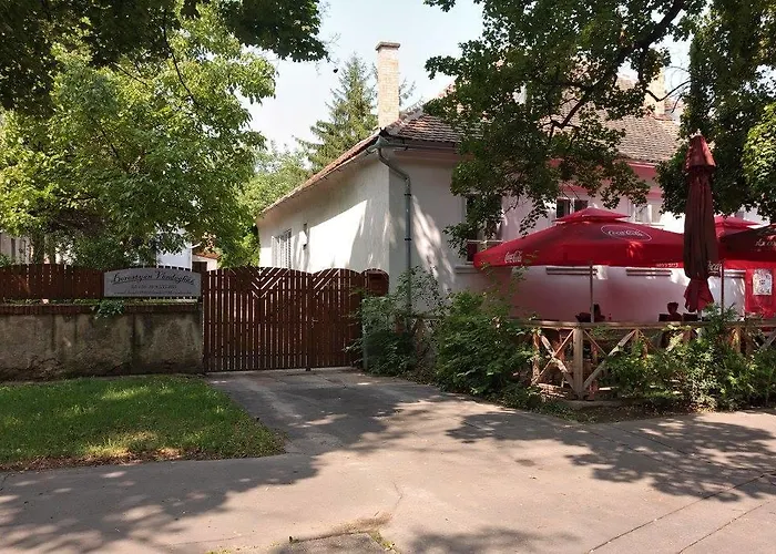 Borostyan 20 Vendeghaz Lejlighed Sárospatak