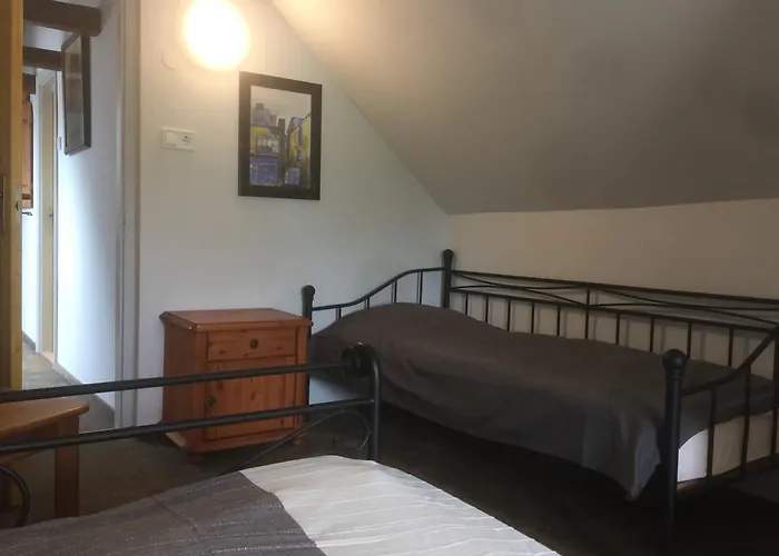 Apartment Borostyan 20 Vendeghaz *