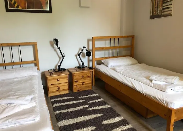 Borostyan 20 Vendeghaz Sárospatak
